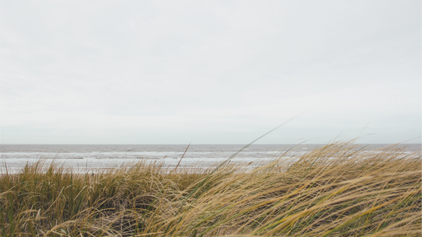 United in Suffering: How Believers Find Strength Together
