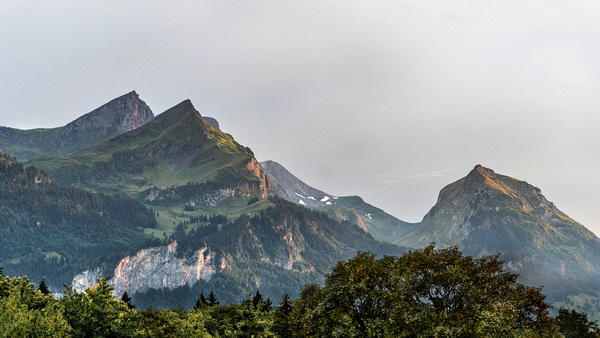 Psalm 24 - The King of Glory - Daily Devotional